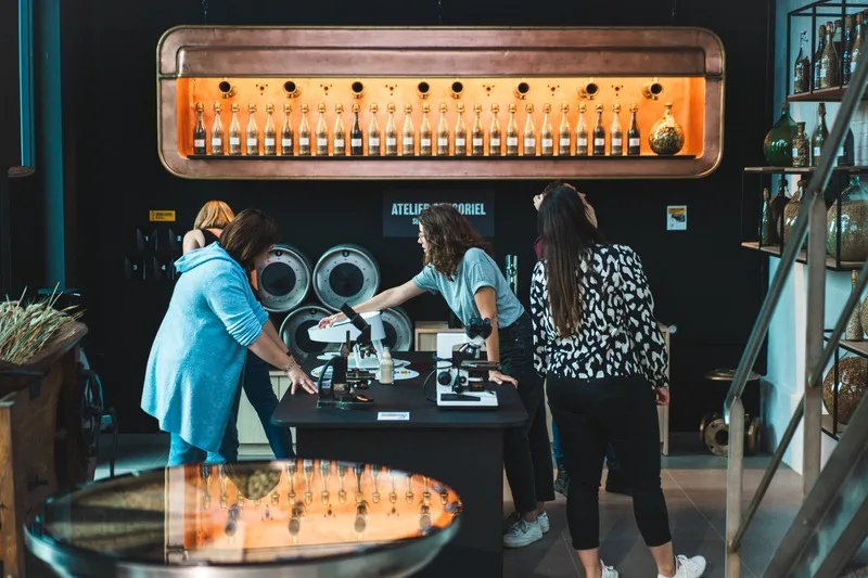 Le SPOT — Atelier sensoriel Brasserie Castelain